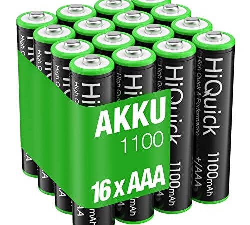 HiQuick Micro AAA Akku, NI-MH 1100mAh wiederaufladbar Batterien, geringe Selbstentladung 1,2V Akku, 16 x Micro AAA mit Schutzbox