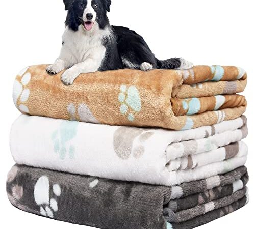 Hundedecke Sofa, wasserdichte Decke Für Sofa, Hundedecke Flauschig, Fleecedecke Hunde, 3 Pack Weiche Warme Haustier Decken, Mit niedlichem Knochen-Druck,Für eine Vielzahl von Haustieren,106*76CM