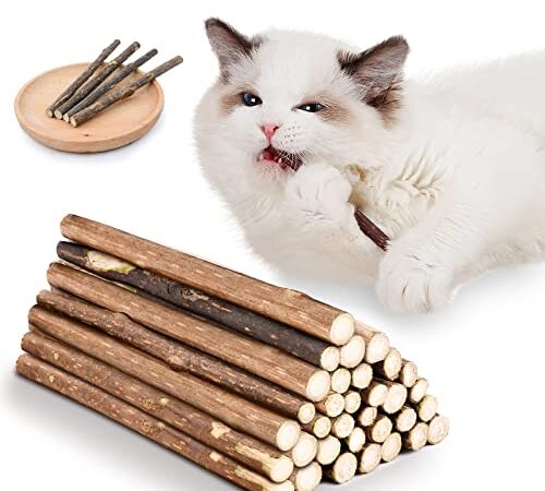 OSDUE 32 Stück Katzenminze Sticks, Matatabi-Kausticks, Katzenminze Spielzeug Katzen Kauhölzer Sticks für Katzen Zahnpflege & Gegen Mundgeruch Natürlich Sicher Katzensticks Kausticks Set