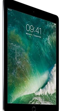 Apple iPad Air 2 16GB 4G - Space Grau - Entriegelte (Generalüberholt)