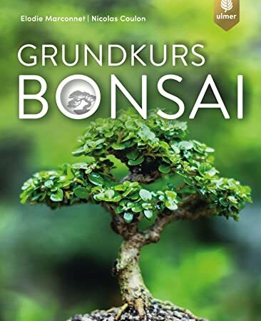 Grundkurs Bonsai