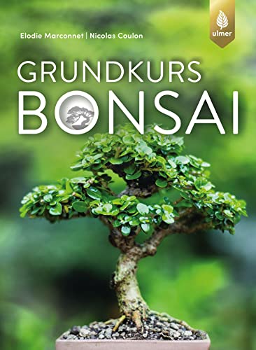 Bestes bonsai im jahr 2024 [Basierend auf 50 Expertenbewertungen]