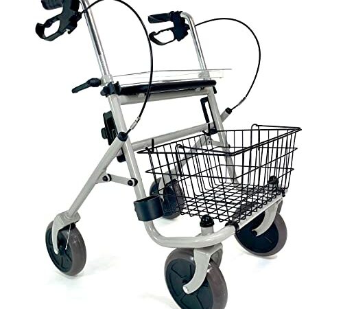 Trendmobil Rollator mit Feststellbremse inkl. Korb, Gehstockhalterung und Tablett HMV 10.50.04.1147 (Silber)