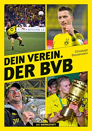 Bestes bvb im jahr 2024 [Basierend auf 50 Expertenbewertungen]