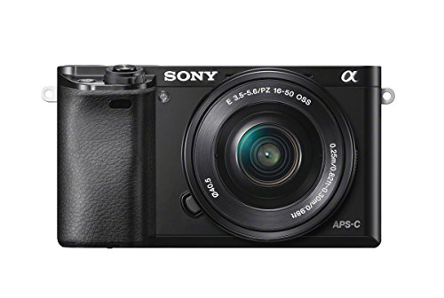 Bestes sony alpha 6000 im jahr 2024 [Basierend auf 50 Expertenbewertungen]