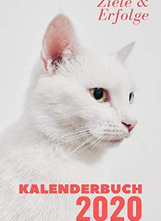 Taschenkalender 2020: Kalenderbuch 2020 - Katze