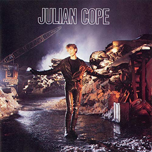 30 Bestes julian cope im jahr 2024 [Basierend auf 50 Expertenbewertungen]