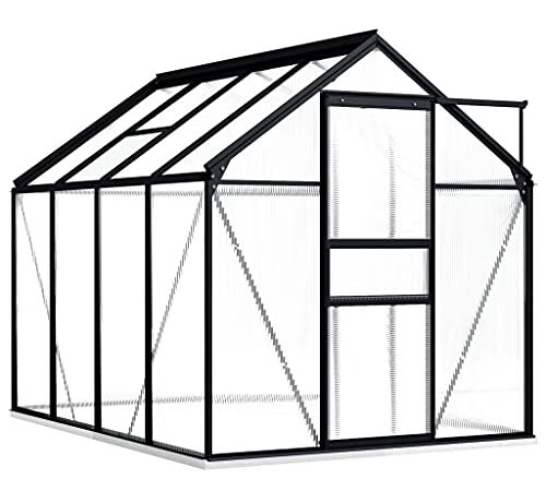 vidaXL Gewächshaus mit Fundamentrahmen Garten Treibhaus Pflanzenhaus Frühbeet Gartenhaus Tomatenhaus Anthrazit Aluminium Polycarbonat 4,75 m³