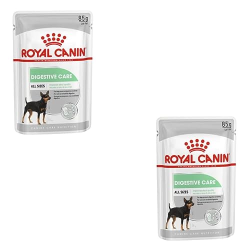 30 Bestes royal canin hunde im jahr 2024 [Basierend auf 50 Expertenbewertungen]